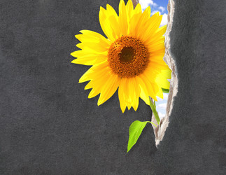 Similar image 611590