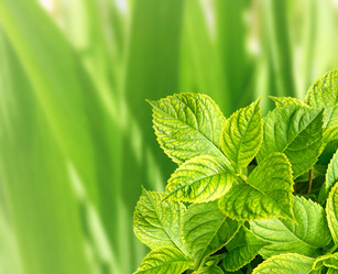 Similar image 611602