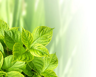 Similar image 611603