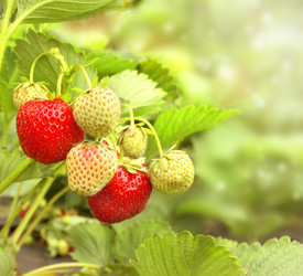 Similar image 611608