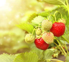 Similar image 611610