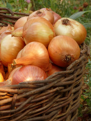 Similar image 611716