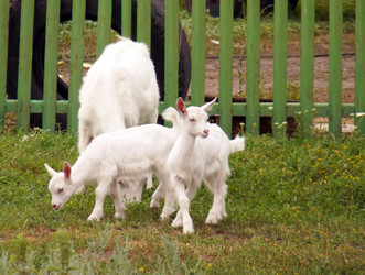 Similar image 611727