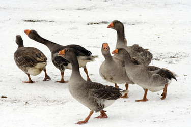 Similar image 611810