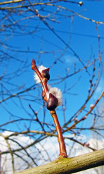 Similar image 611823