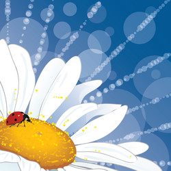 Similar image 611847