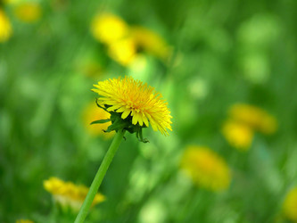 Similar image 611881