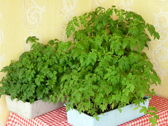 Similar image 611884