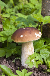 Similar image 611971