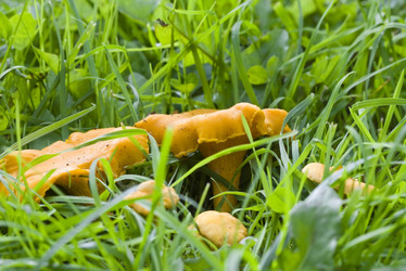 Similar image 611974