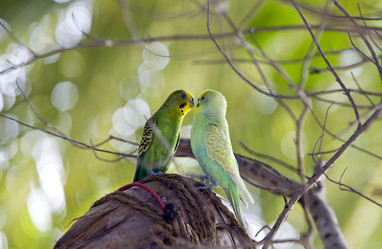 Similar image 611979