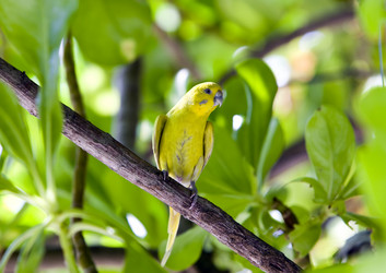 Similar image 611981