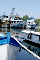 Similar image 611991