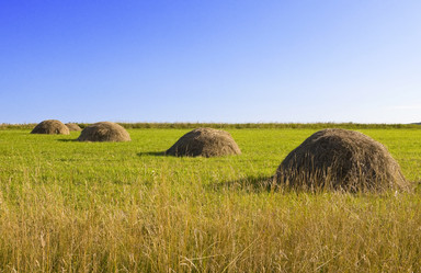 Similar image 611995