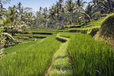 Similar image 612030