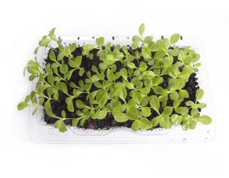 Similar image 612033