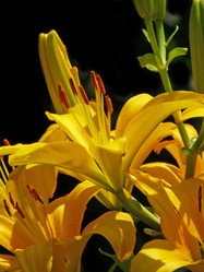 Similar image 612117