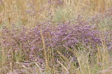 Similar image 612125