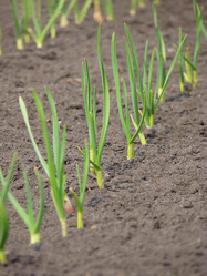 Similar image 612127