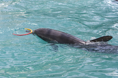 Similar image 612185