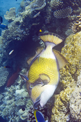 Similar image 612190