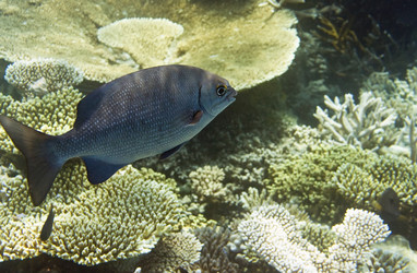 Similar image 612191