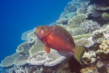 Similar image 612196