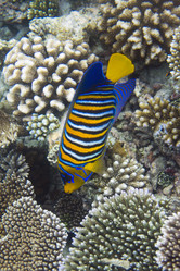 Similar image 612198