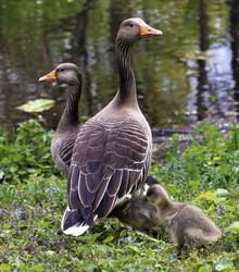 Similar image 612200