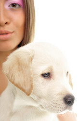 Similar image 612252