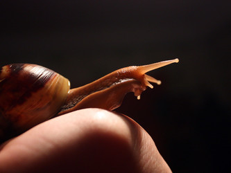 Similar image 612274