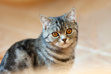 Similar image 612291