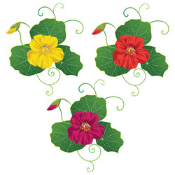 Similar image 612366