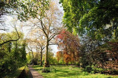 Similar image 612371