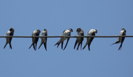 Similar image 612460