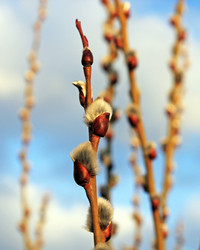 Similar image 612470