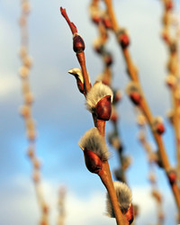 Similar image 612472