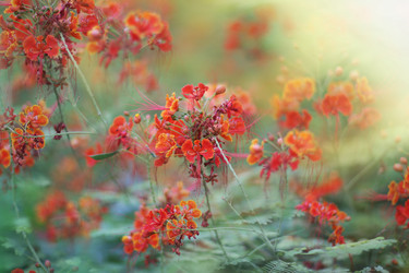 Similar image 612525