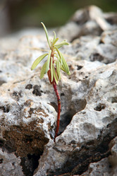 Similar image 612586