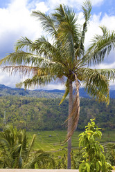 Similar image 612614