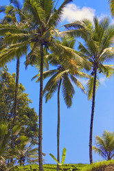 Similar image 612618