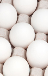 Similar image 612749