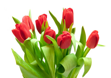 Similar image 612784