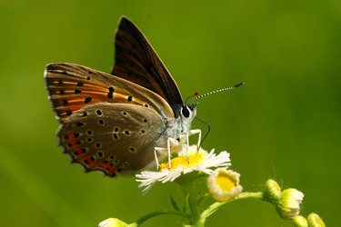 Similar image 612793