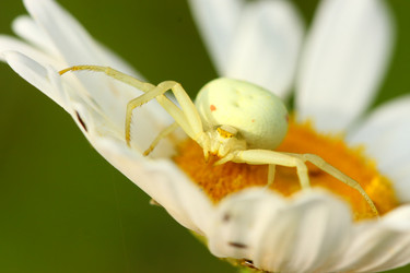 Similar image 612805