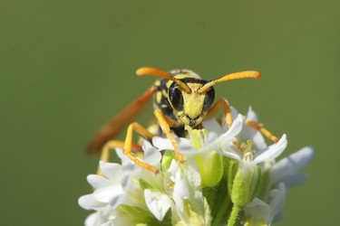 Similar image 612814