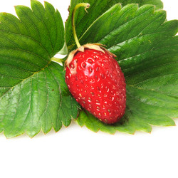 Similar image 612821