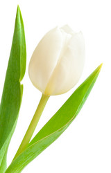 Similar image 612828