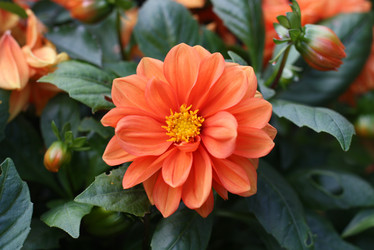 Similar image 612926