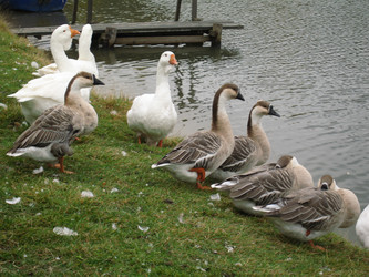 Similar image 612933